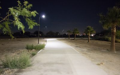 Solar Area Light Perfect for Desert Park Pathway