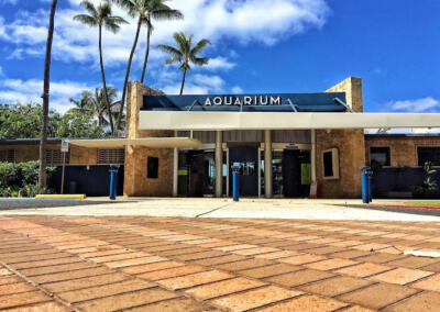 Waikiki Aquarium, HI