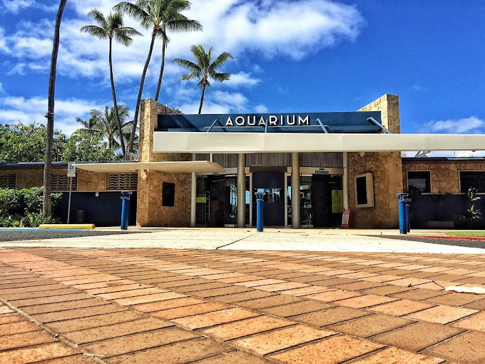 Waikiki Aquarium, HI
